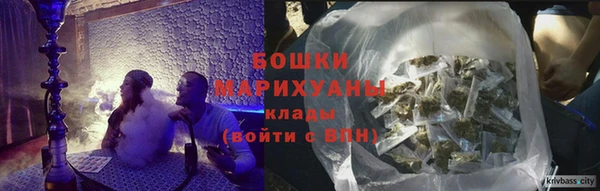 ПСИЛОЦИБИНОВЫЕ ГРИБЫ Заволжье