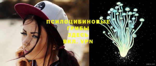 тгк Заводоуковск