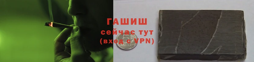 ПСИЛОЦИБИНОВЫЕ ГРИБЫ Заволжье