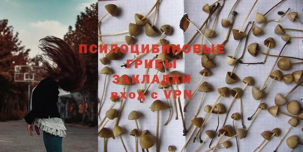 ПСИЛОЦИБИНОВЫЕ ГРИБЫ Заволжье