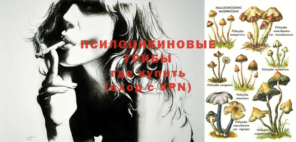 ПСИЛОЦИБИНОВЫЕ ГРИБЫ Заволжье